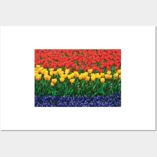 The Netherlands Lisse Close Up Of Flowers Posters and Art